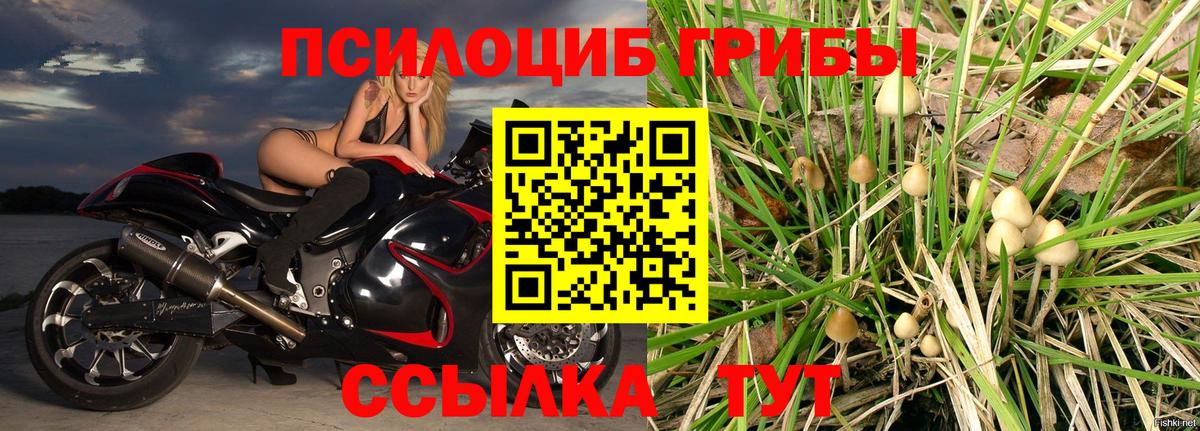 Ишимбай  наркотики  Вход с VPN  Псилоцибиновые грибы мухоморы 